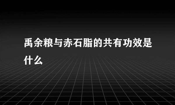 禹余粮与赤石脂的共有功效是什么