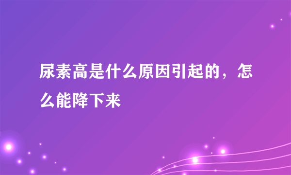 尿素高是什么原因引起的，怎么能降下来