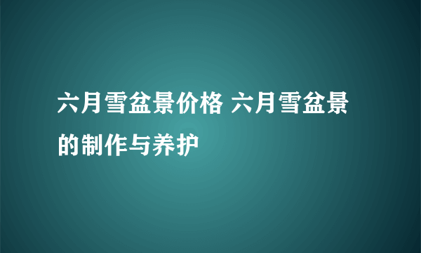 六月雪盆景价格 六月雪盆景的制作与养护