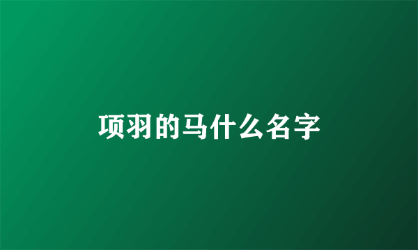 项羽的马什么名字