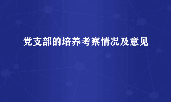 党支部的培养考察情况及意见