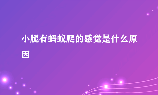 小腿有蚂蚁爬的感觉是什么原因