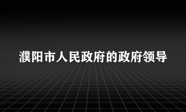 濮阳市人民政府的政府领导