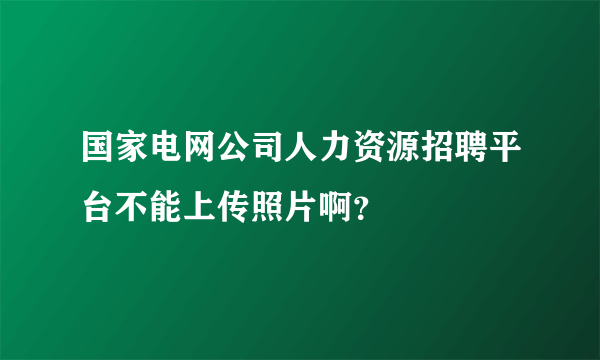 国家电网公司人力资源招聘平台不能上传照片啊？