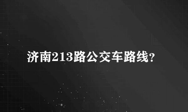 济南213路公交车路线？