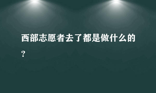 西部志愿者去了都是做什么的？