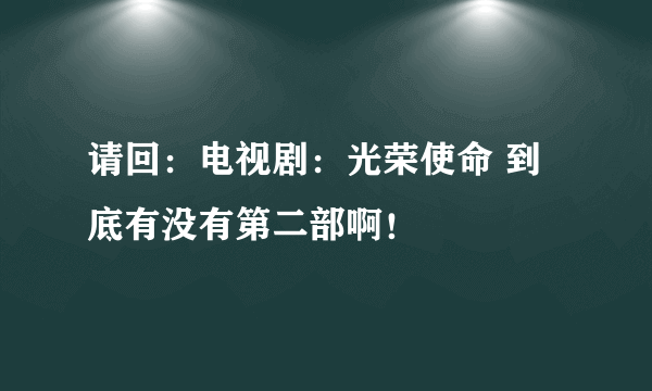 请回：电视剧：光荣使命 到底有没有第二部啊！