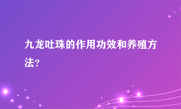 九龙吐珠的作用功效和养殖方法？