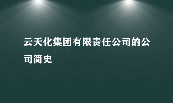 云天化集团有限责任公司的公司简史