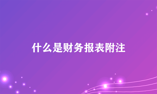 什么是财务报表附注