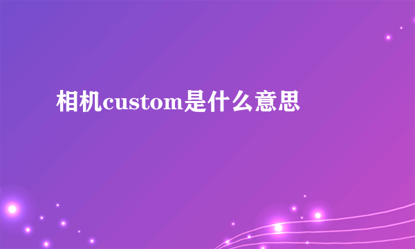 相机custom是什么意思