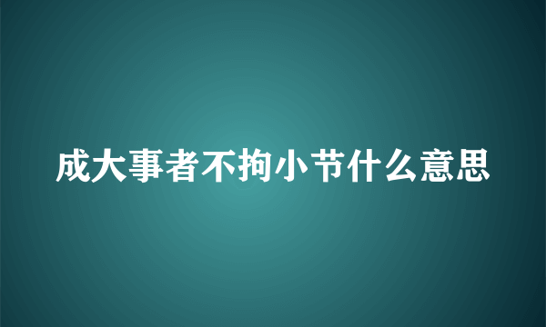 成大事者不拘小节什么意思