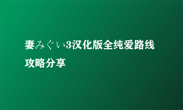 妻みぐい3汉化版全纯爱路线攻略分享