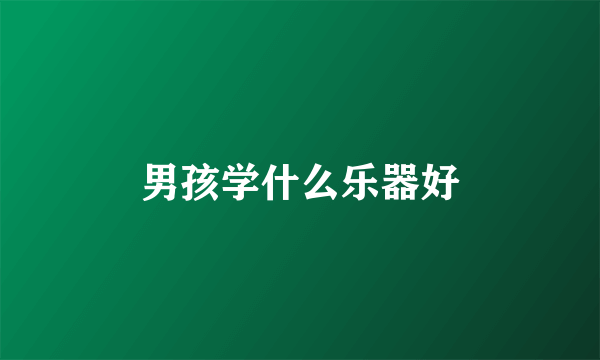 男孩学什么乐器好