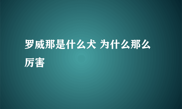 罗威那是什么犬 为什么那么厉害