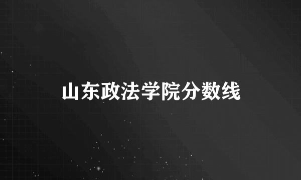 山东政法学院分数线