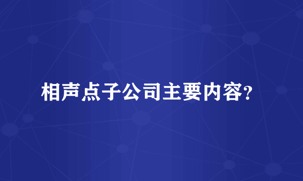 相声点子公司主要内容？