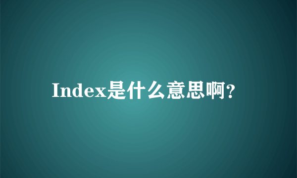 Index是什么意思啊？