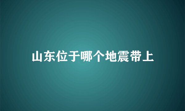 山东位于哪个地震带上