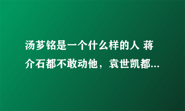 汤芗铭是一个什么样的人 蒋介石都不敢动他，袁世凯都拿他没办法