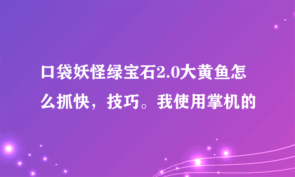 口袋妖怪绿宝石2.0大黄鱼怎么抓快，技巧。我使用掌机的