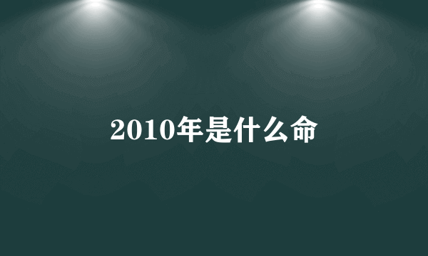 2010年是什么命