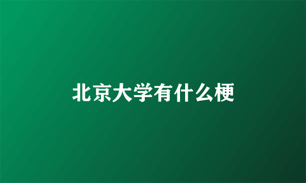 北京大学有什么梗