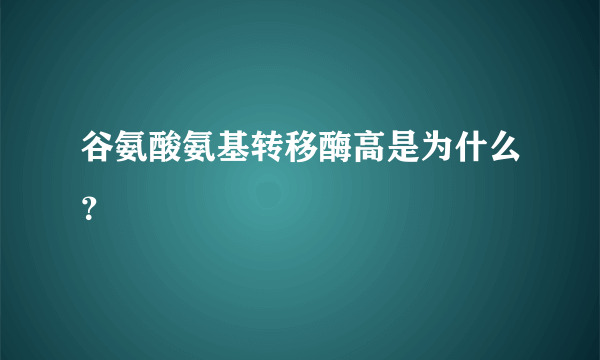 谷氨酸氨基转移酶高是为什么？