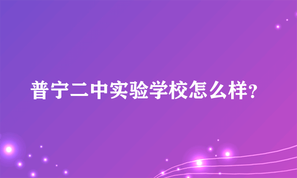 普宁二中实验学校怎么样？