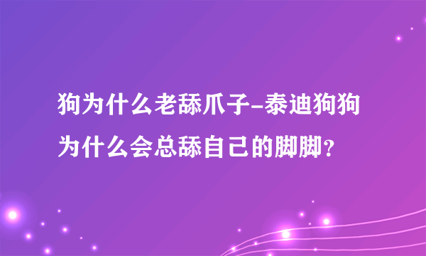 狗为什么老舔爪子-泰迪狗狗为什么会总舔自己的脚脚？