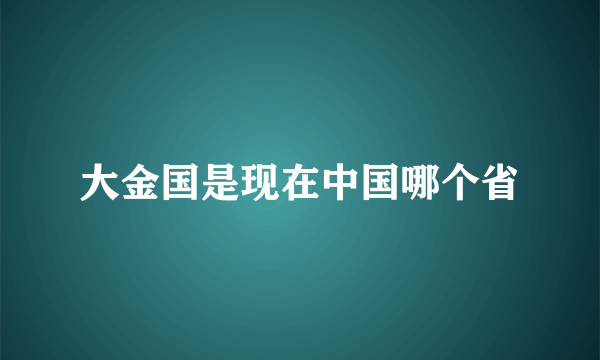 大金国是现在中国哪个省