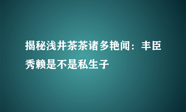 揭秘浅井茶茶诸多艳闻：丰臣秀赖是不是私生子