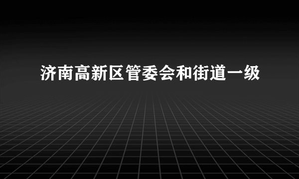 济南高新区管委会和街道一级