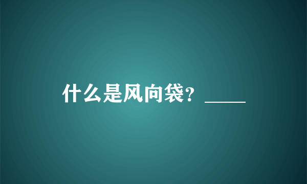 什么是风向袋？____