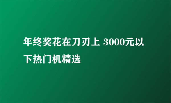 年终奖花在刀刃上 3000元以下热门机精选