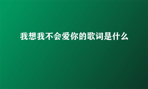 我想我不会爱你的歌词是什么