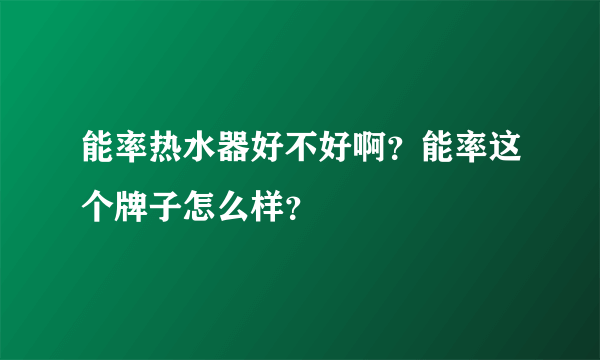 能率热水器好不好啊？能率这个牌子怎么样？