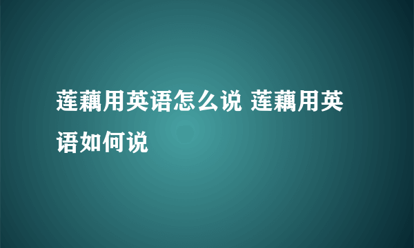 莲藕用英语怎么说 莲藕用英语如何说