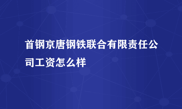 首钢京唐钢铁联合有限责任公司工资怎么样