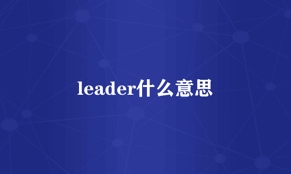 leader什么意思