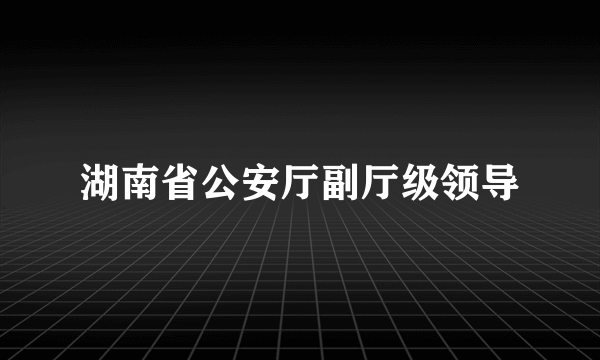 湖南省公安厅副厅级领导