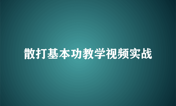 散打基本功教学视频实战