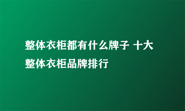 整体衣柜都有什么牌子 十大整体衣柜品牌排行