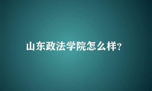 山东政法学院怎么样？