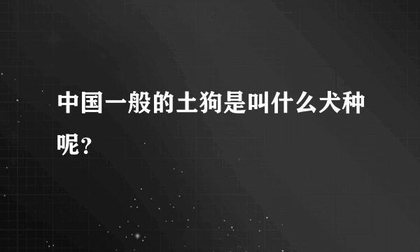 中国一般的土狗是叫什么犬种呢？