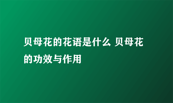 贝母花的花语是什么 贝母花的功效与作用