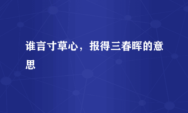 谁言寸草心，报得三春晖的意思