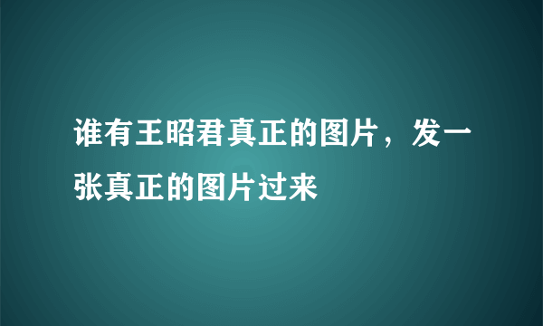 谁有王昭君真正的图片，发一张真正的图片过来