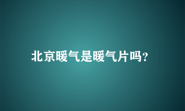 北京暖气是暖气片吗？