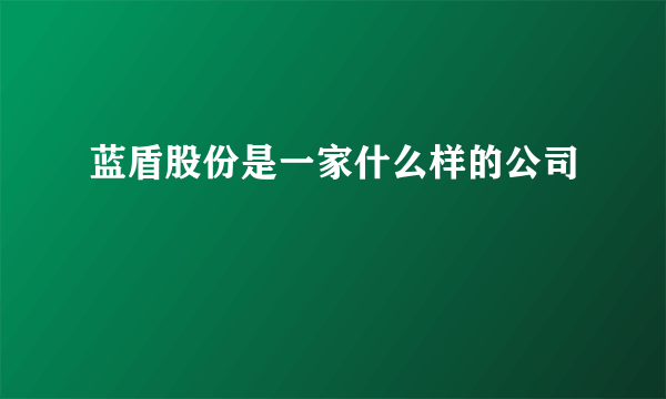 蓝盾股份是一家什么样的公司